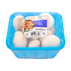 Organic White Mushroom 8 oz