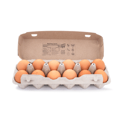 Happy Egg Organic Large Brown Eggs 12ct 1 box
