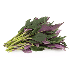 Okinawan Spinach 1 lb