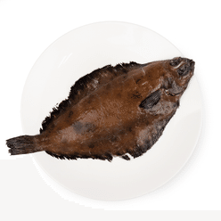 Wild Caught Dover Sole Whole 14-16 oz