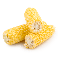 Yellow Corn 1 count
