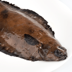 Wild Caught Dover Sole Whole 14-16 oz