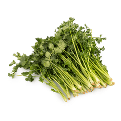 Cilantro with Root 1 bunch