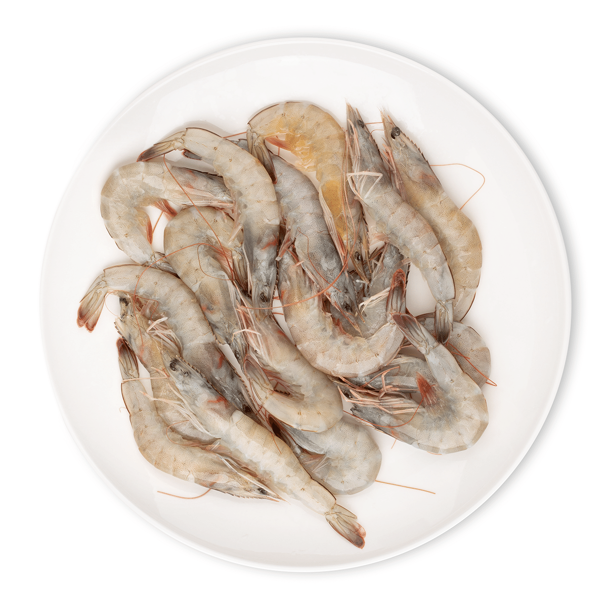 Vanoni's Ecuadorian 60/70ct Head On Shell On Shrimp, Frozen 4 lb