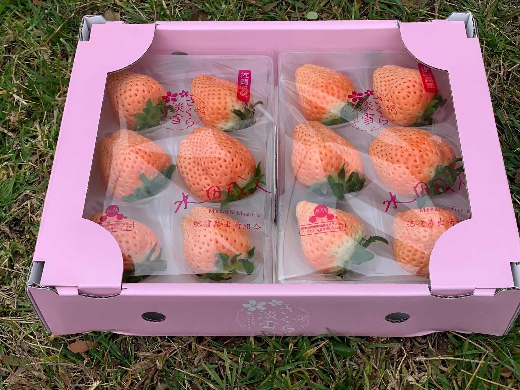 Get Japanese Premium Awayuki Pink Strawberry 2pk Delivered