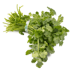Cilantro 1 bunch