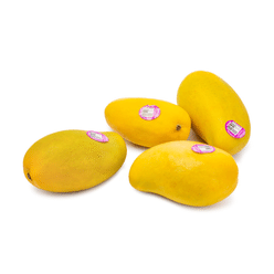 Champagne Mango Gift Box 12-20 count