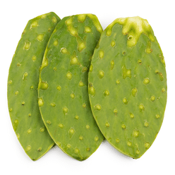 Nopales 1 lb