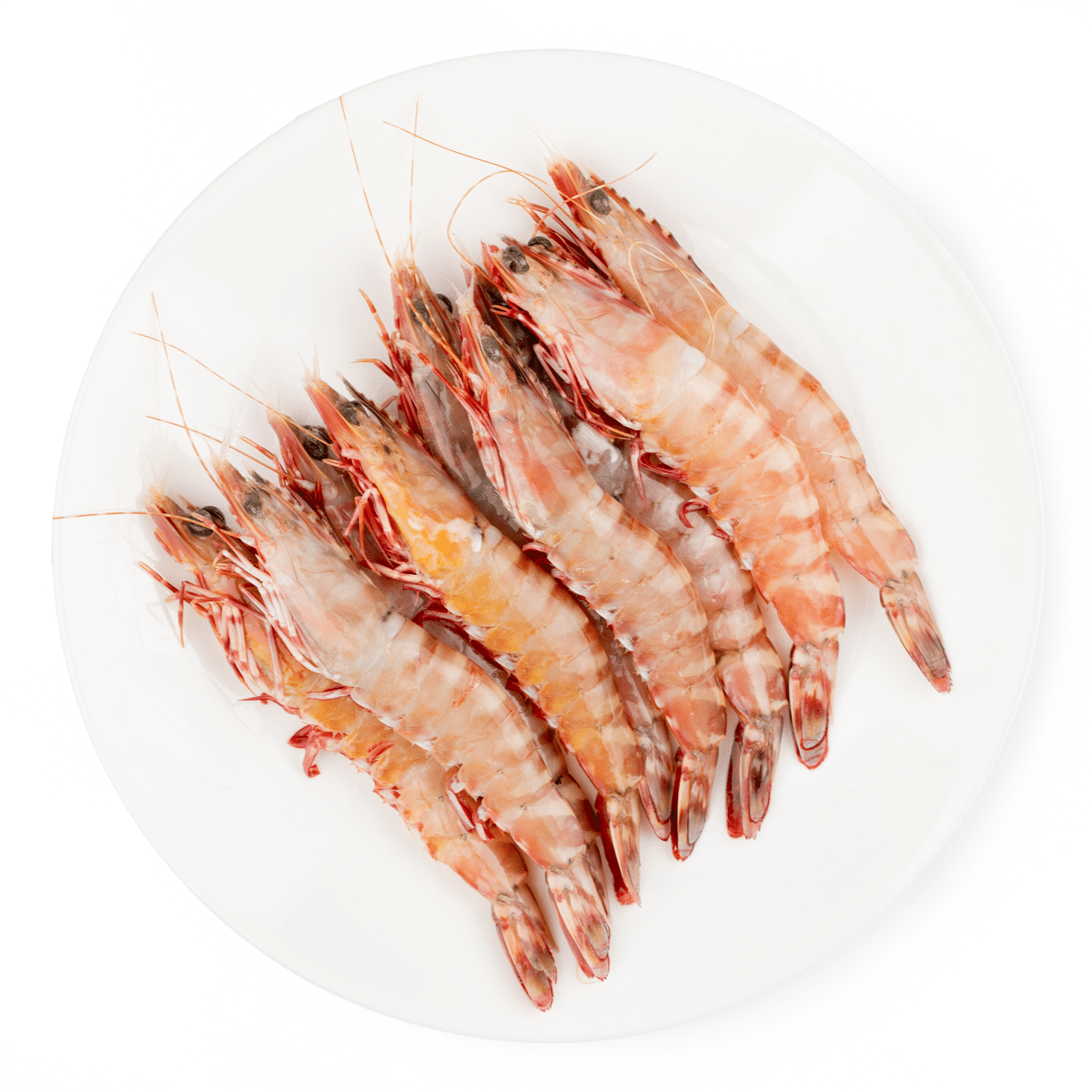 Ocean Pearl Australian Wild Caught Head On Shell On Tiger Shrimp 13/15ct, Frozen 3.3 lb