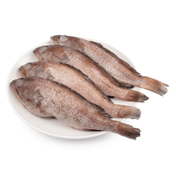 Netuno Wild Caught Whole Grouper, Fully Cleaned, Frozen 2 lb