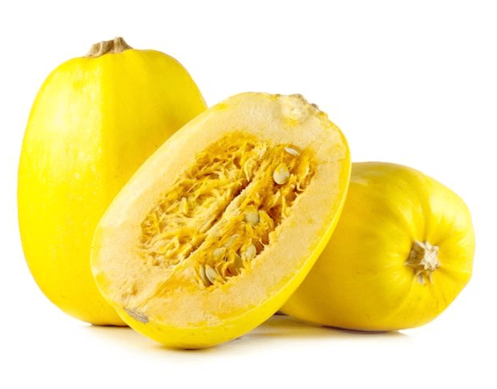 Spaghetti Squash 1 count