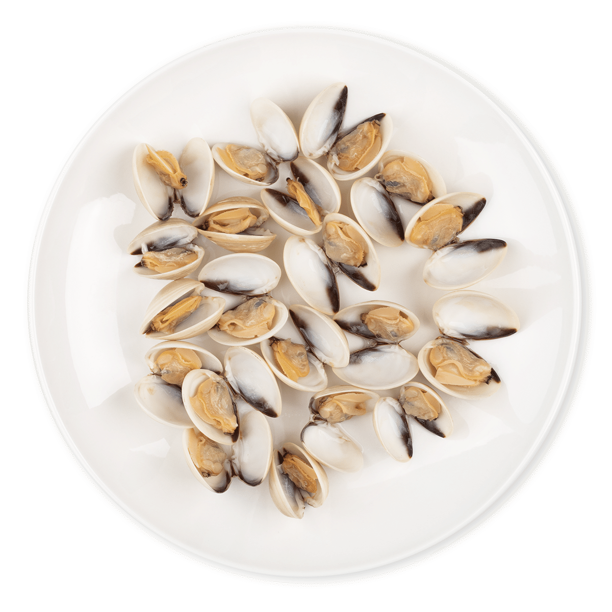 White Clams 1 lb