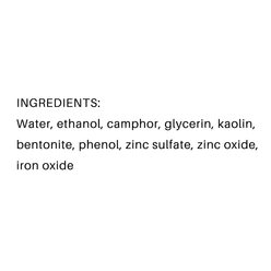 SHISEIDO Deluxe Eau De Carmin 260 ml