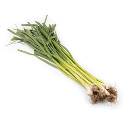 Chinese Purple Young Leek 1 lb