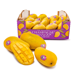 Champagne Mango Gift Box 12-20 count