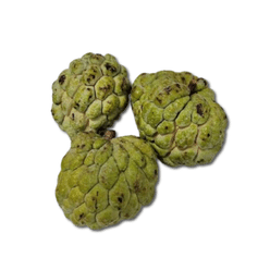 Sugar Apple/Custard Apple (Sitaphal) 1.8-2.2 파운드