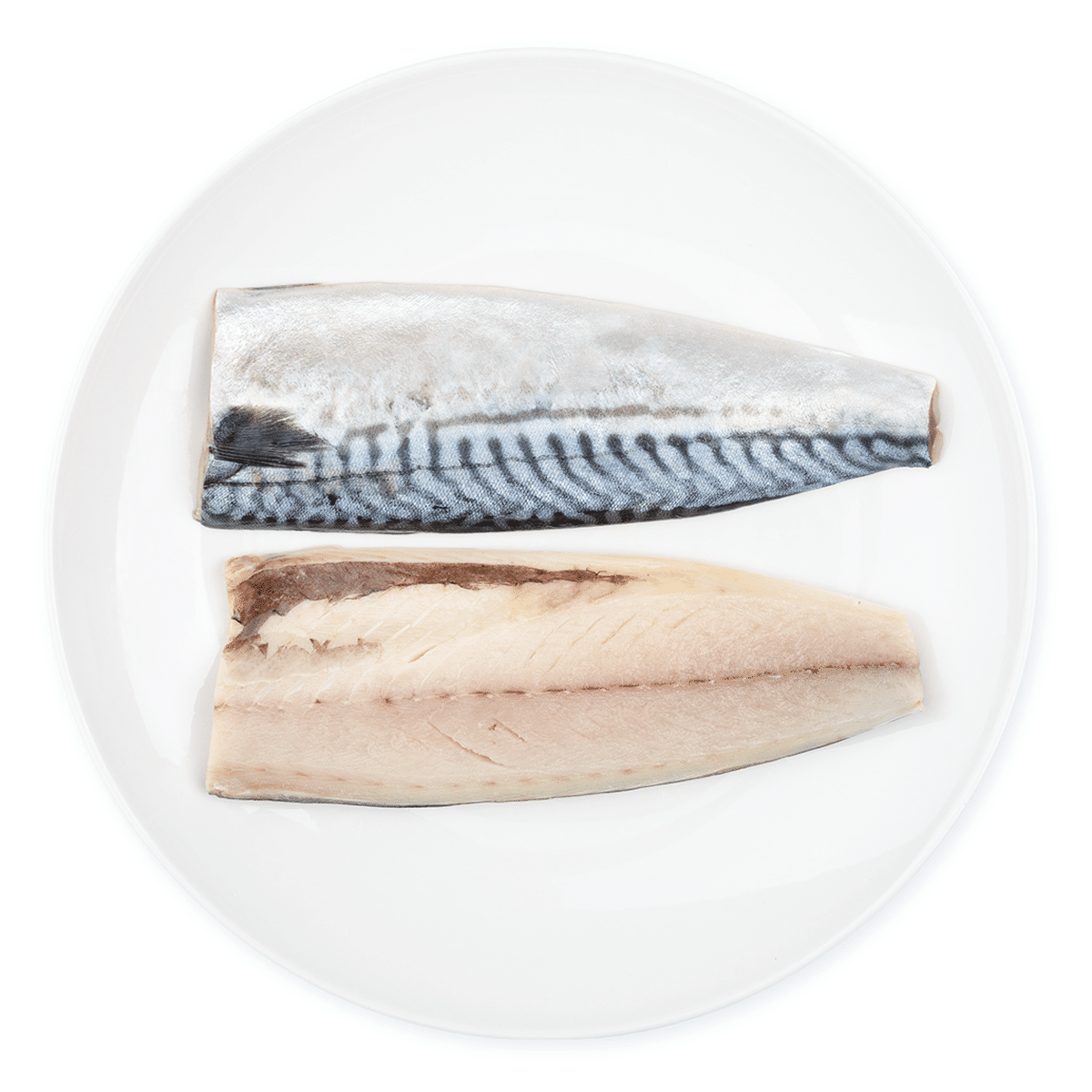 Filete de Caballa Noruega 2pc, Congelado 240-285 gramo(s)