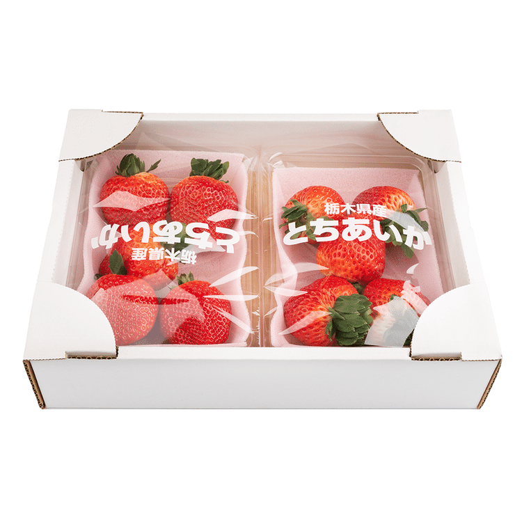 strawberryページ adidas ZX 8000 