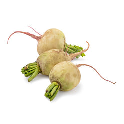 Watermelon Radish 0.9-1.1 lb