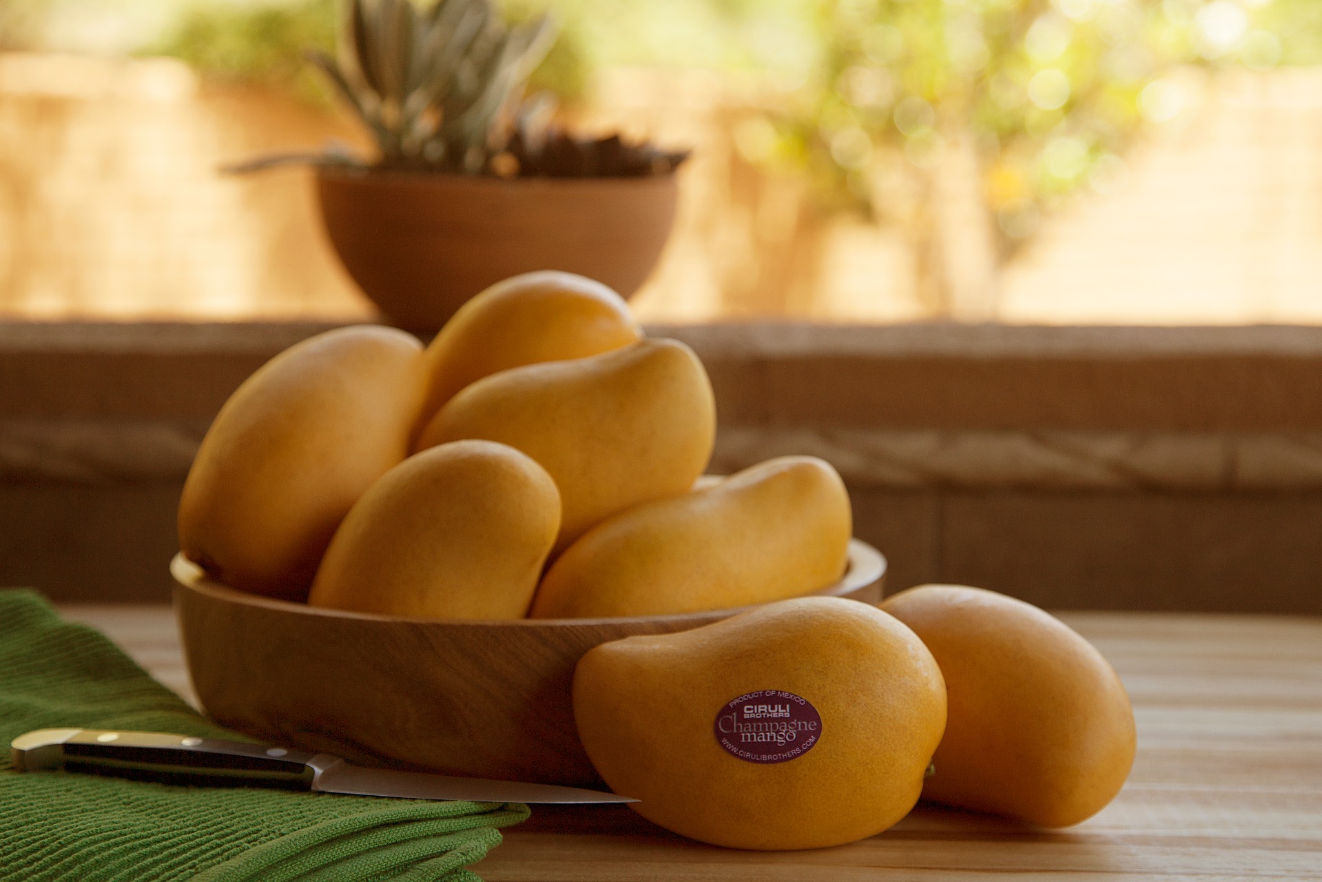 シャンパンマンゴー1箱 12-20 カウント - Weee!