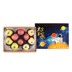 Space Apple 1 박스