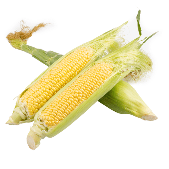 weee_green_Yellow Corn 1 count