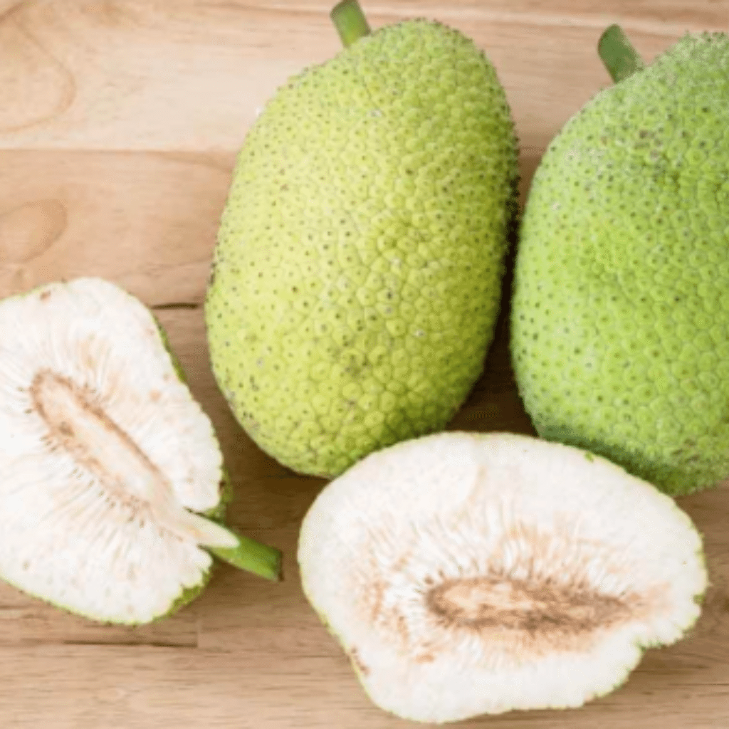Breadfruit 1 each
