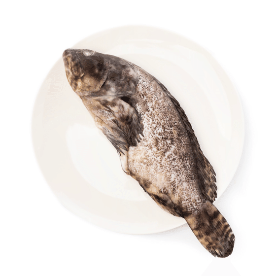 weee_seafood_珍珠龍膽石斑(已清理) 冷凍 500-600 克