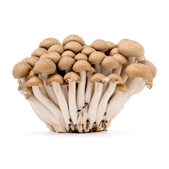 weee_green_Shimeji Brown Mushroom 150 g