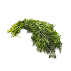 Fresh Dill 1 bunch