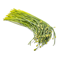 Garlic Chives with Flower 0.95-1.05 lb