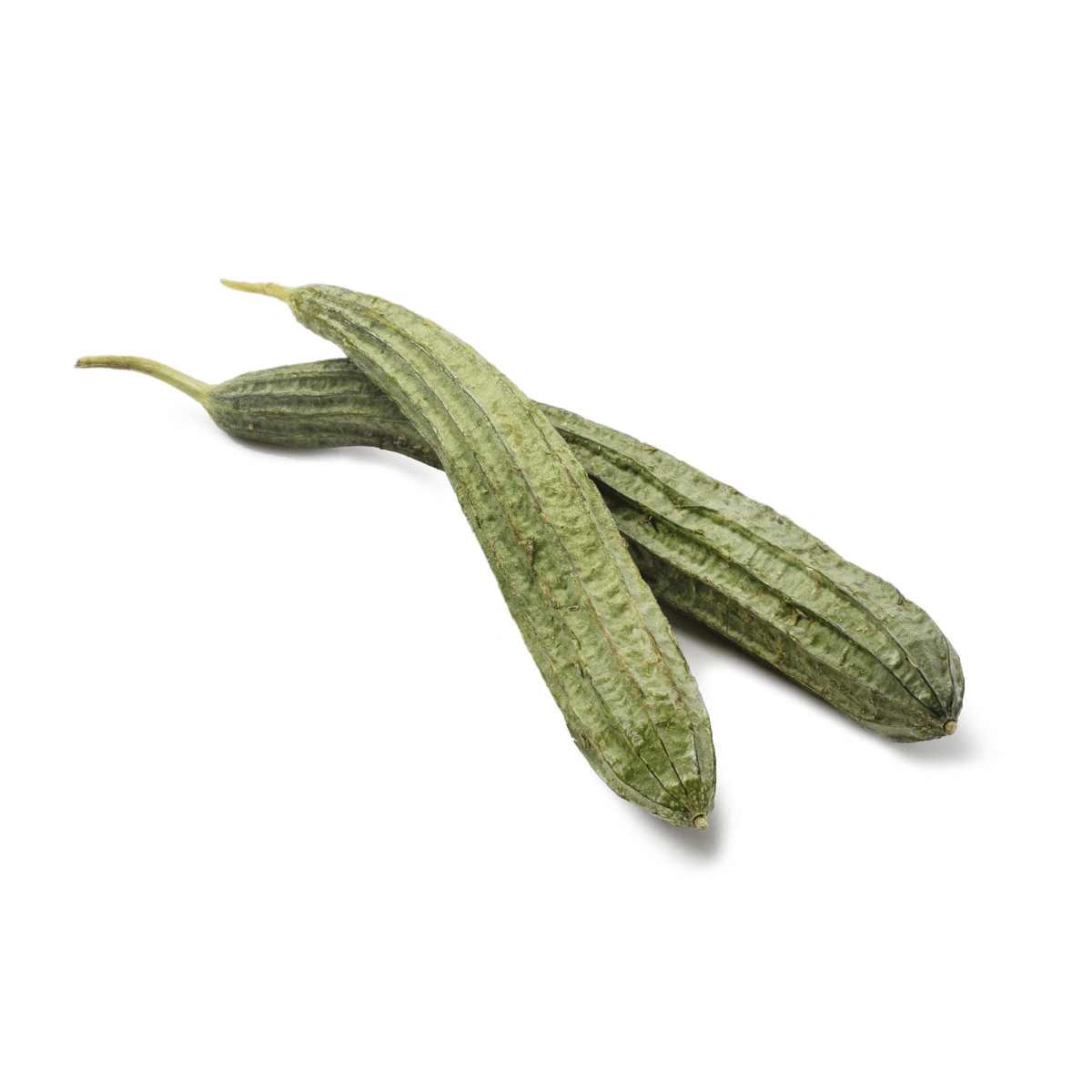 Ridge Gourd (Patola / Toori) 1-1.5 lb