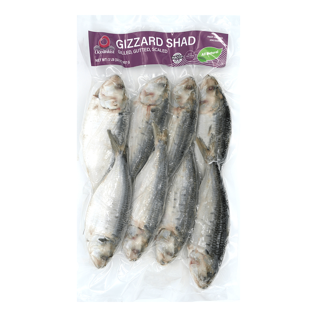 Hilsa (Gizzard Shad) Whole Cleaned 2 libra(s)