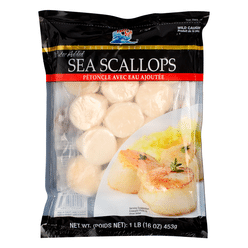 Pacific Surf Japanese Scallops U15 CT Frozen 16 oz