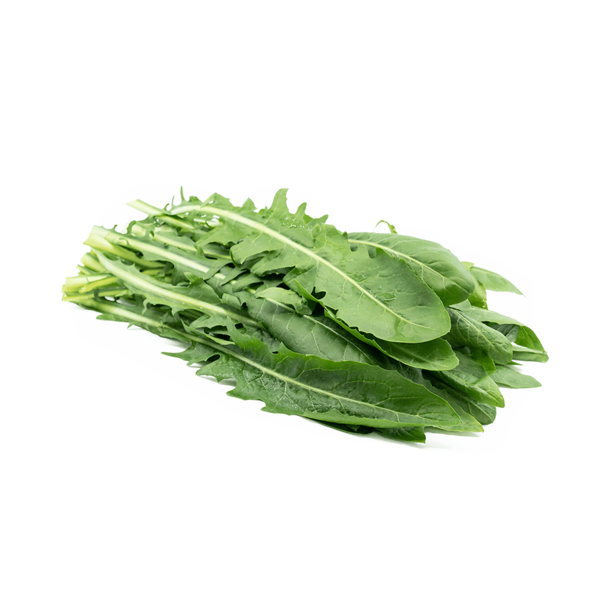 Dandelion Green 1 bunch