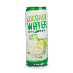 Wei Chuan 100% Coconut Water 500 ml