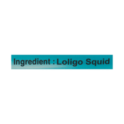 Freshness Choice Loligo Squid Frozen 12 oz