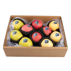 Space Apple 1 박스