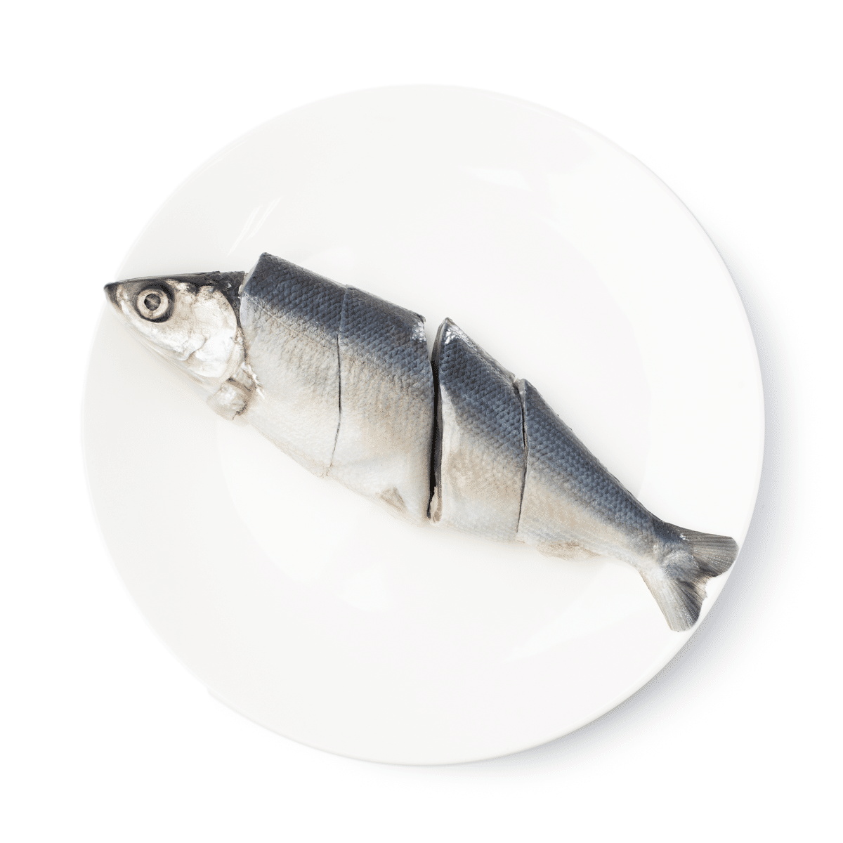 Tropics Slice Milkfish ( Sinigang Cut Bangus ) 17.1 オンス