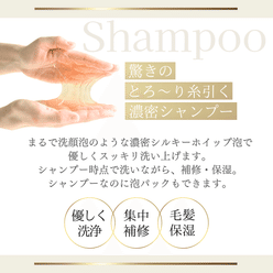 SILK THE RICH MOIST REPAIR SHAMPOO 250 ml