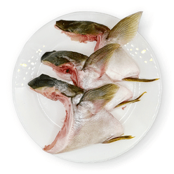 Yellowtail Hiramasa Collar, Frozen 16 oz