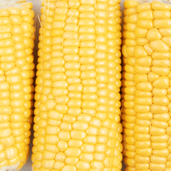 Yellow Corn 1 count