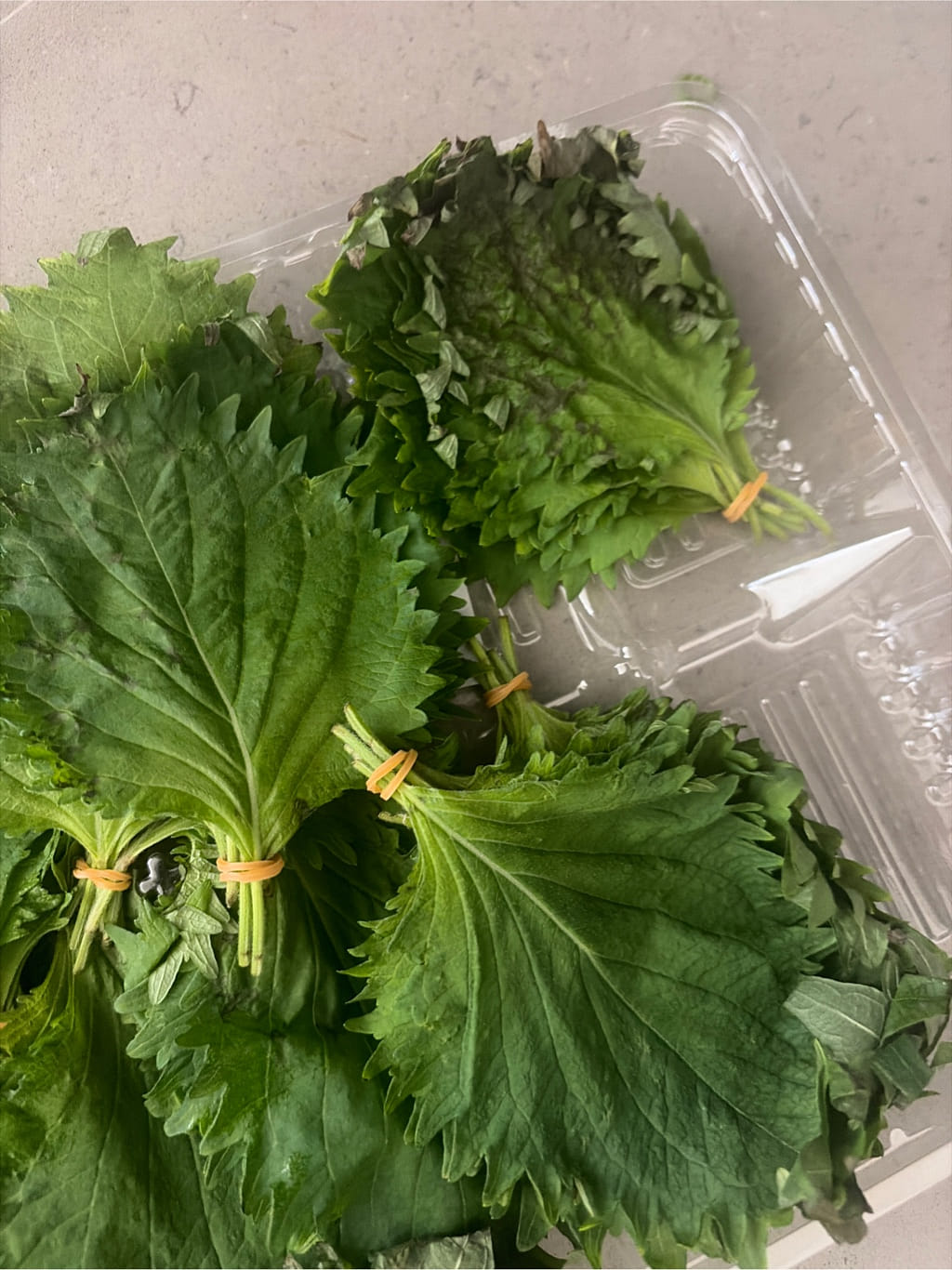 大葉（青じそ）10束入り 10 まとめて - Weee!