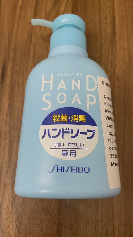 資生堂 薬用ハンドソープ 250mL×19個 資生堂 除菌保湿ハンドソープ 250ml