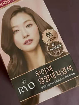 Get Ryo Bright Color Hair Dye Cream Coffee Brown #6C 120 g