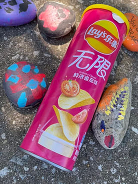 Lays Potato Chips Can Packaging (Tomato Flavor) - Weee!