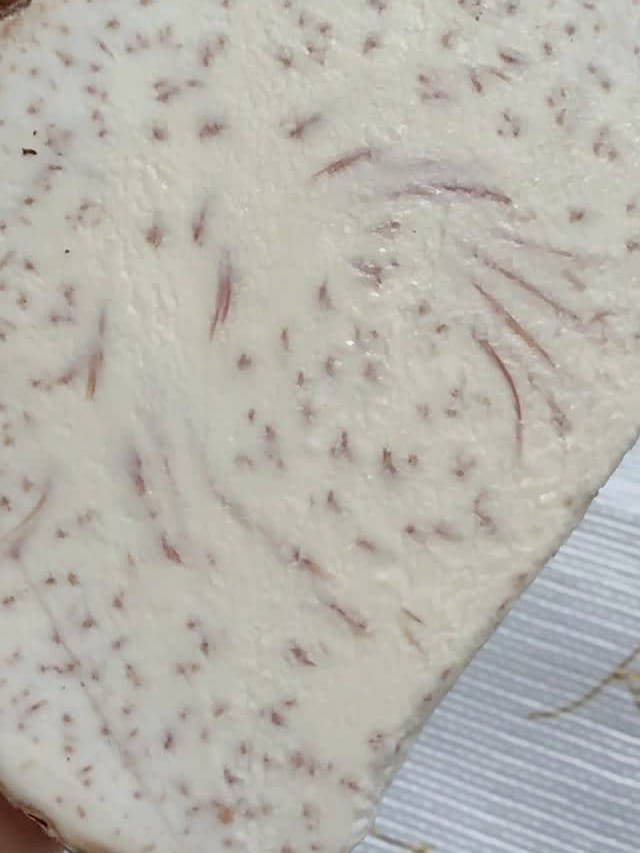 南米産タロイモ