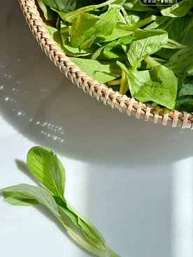 鸡毛菜苗　上海青 菜苗 ミニ青梗菜の苗　食用　ネコポスいっぱい 鸡毛菜苗 上海青 菜苗 ミニ青梗菜の苗 食用 ネコポスいっぱい 鸡毛菜苗上海