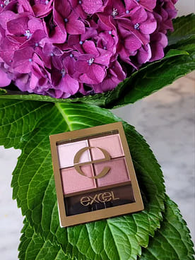 Get 【Direct From Japan】Excel Skinny Rich Shadow SR10 Peony Brown