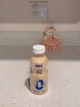 Get Youleduo Lactobacillus Drink (Original) 340 ml Delivered
